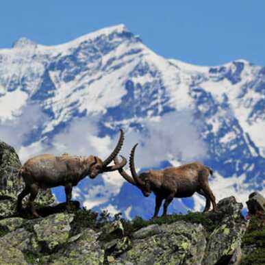Visita guidata al Parco Nazionale – 10 Marzo