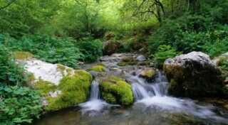 Visita guidata al Parco Nazionale – 10 Marzo