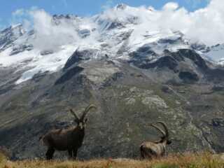 Visita guidata al Parco Nazionale – 12 Marzo