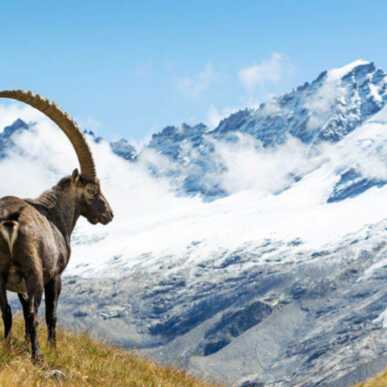 Visita guidata al Parco Nazionale – 12 Marzo